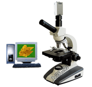 电脑型V目生物显微镜