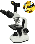 数码生物显微镜