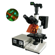 落射荧光显微镜