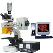电脑型荧光显微镜