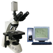 电脑型相衬显微镜