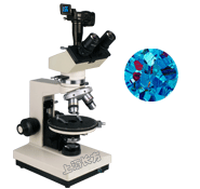 数码偏光显微镜